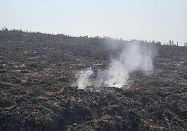 Un incendio activo por debajo del suelo en Genestoso.
