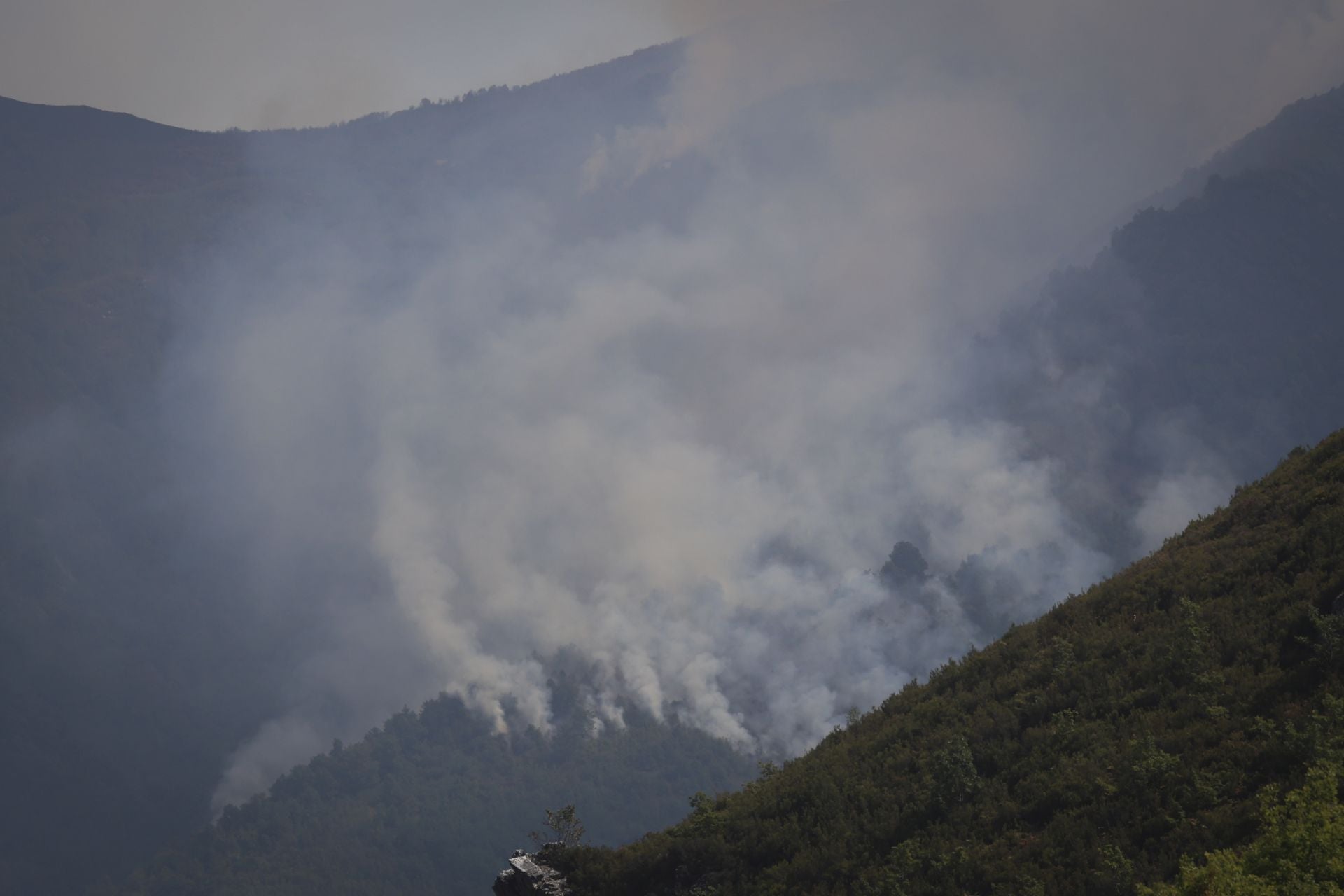 El viento reaviva las llamas en Degaña