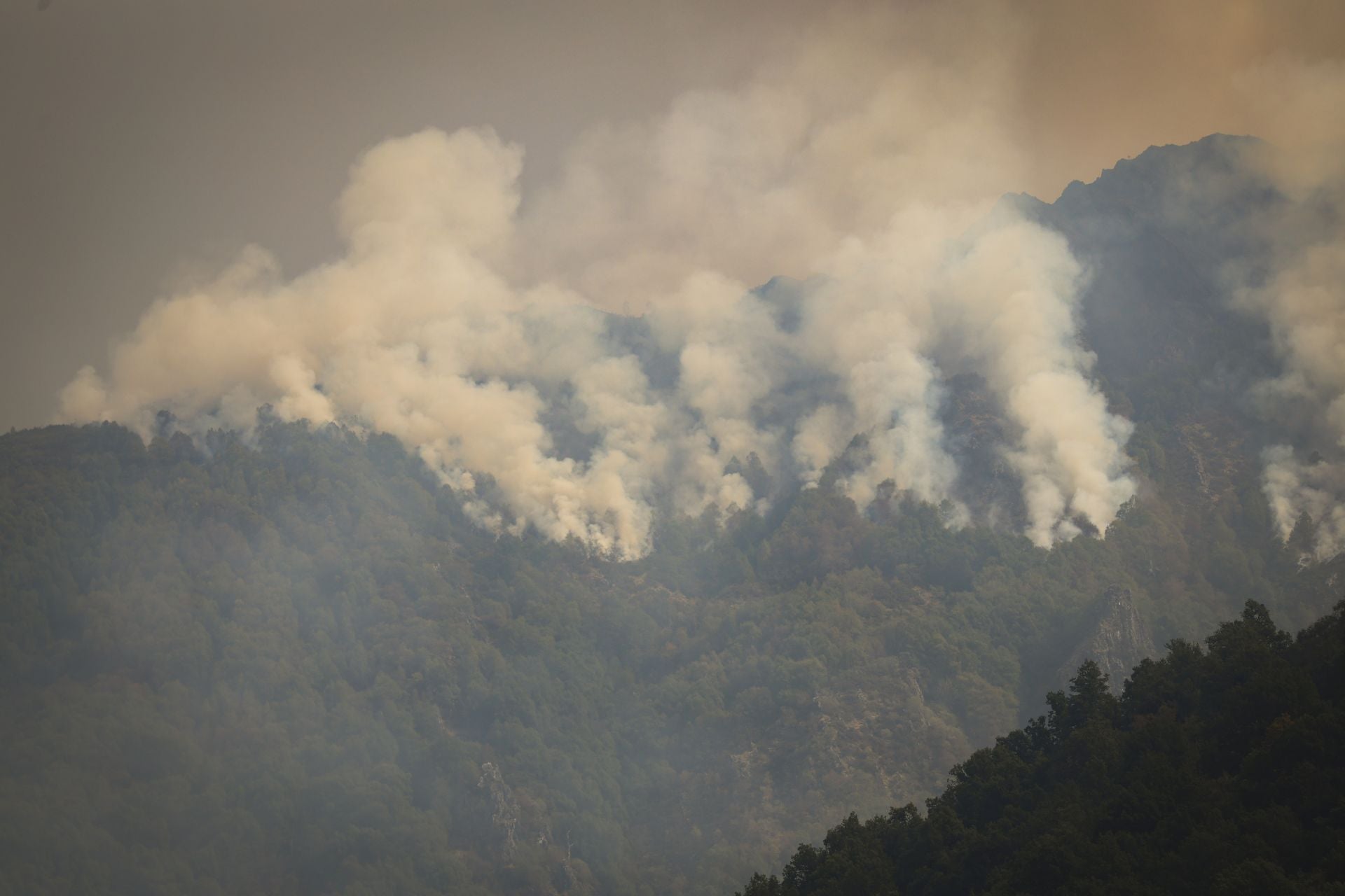 El viento reaviva las llamas en Degaña