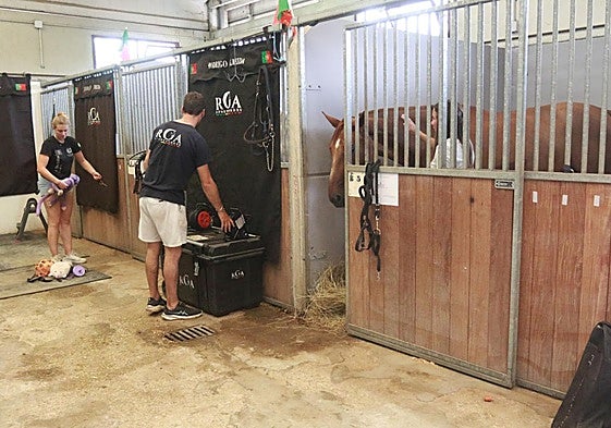 Las Mestas se pone a punto para que arranque su Concurso de Saltos Internacional