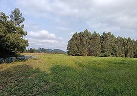 Parcela en la que está prevista la subestación.