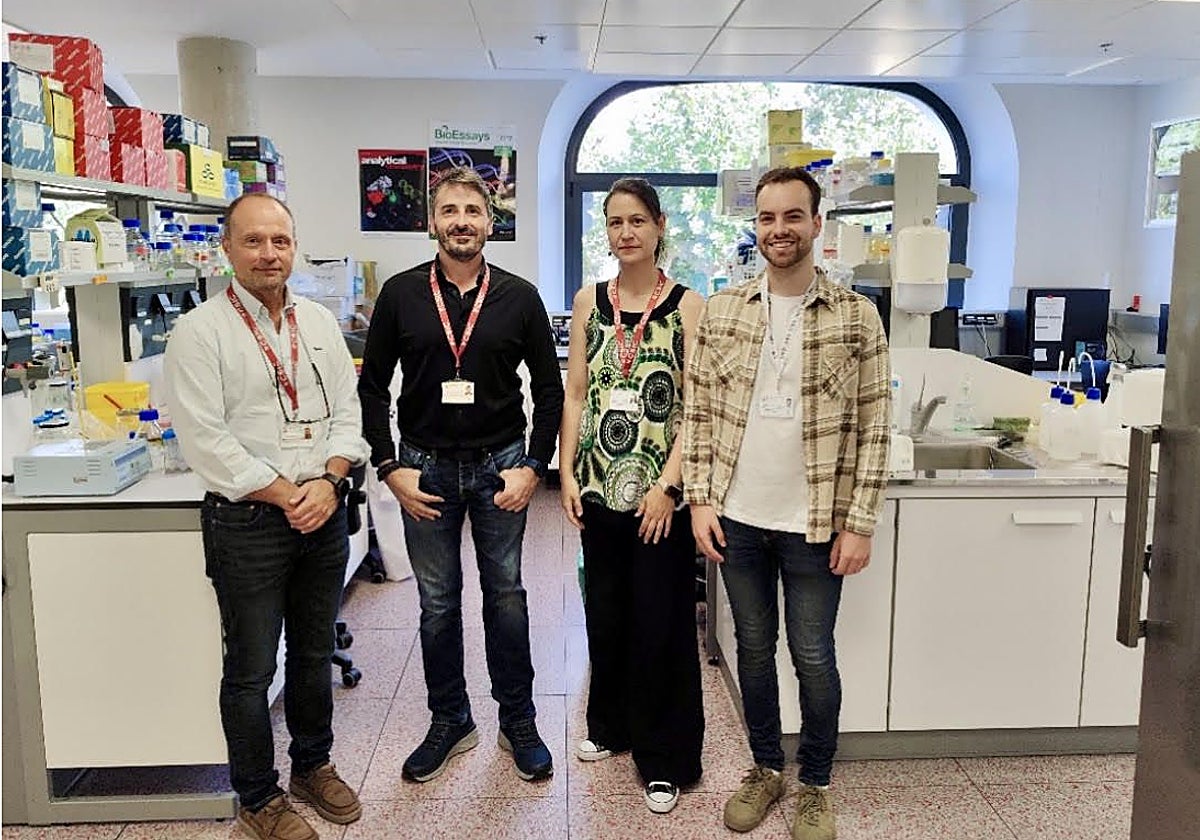 Por la izquierda, Mario Fernández Fraga, Agustín Fernández Fernández, Rocío González Urdinguio y Javier Gancedo Verdejo, en el Laboratorio de Epigenética del Cáncer y Nanomedicina.
