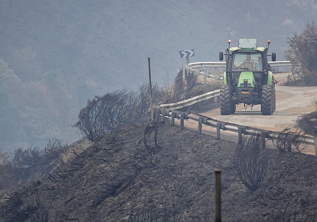 Un ganadero conduce su tractor por una de las zonas de los Picos de Europa arrasadas por el fuego.