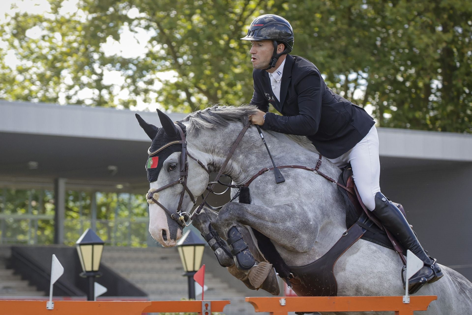 Las mejores fotos de la tercera jornada del Hípico de Gijón
