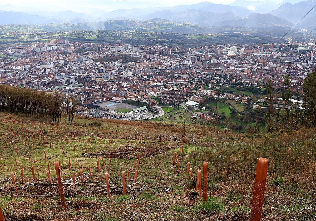 El monte Naranco tras los incendios de 2023.