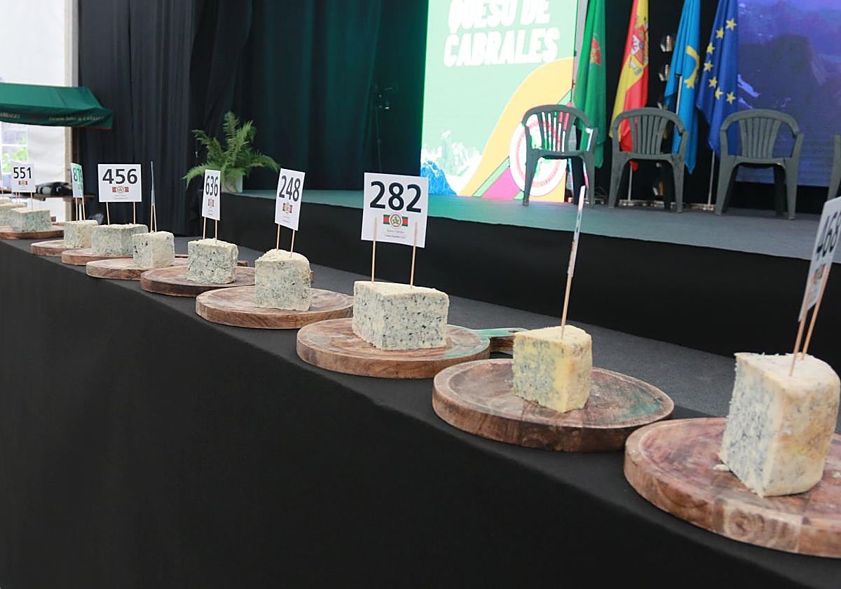 Arenas celebra el 53 certamen del queso de Cabrales