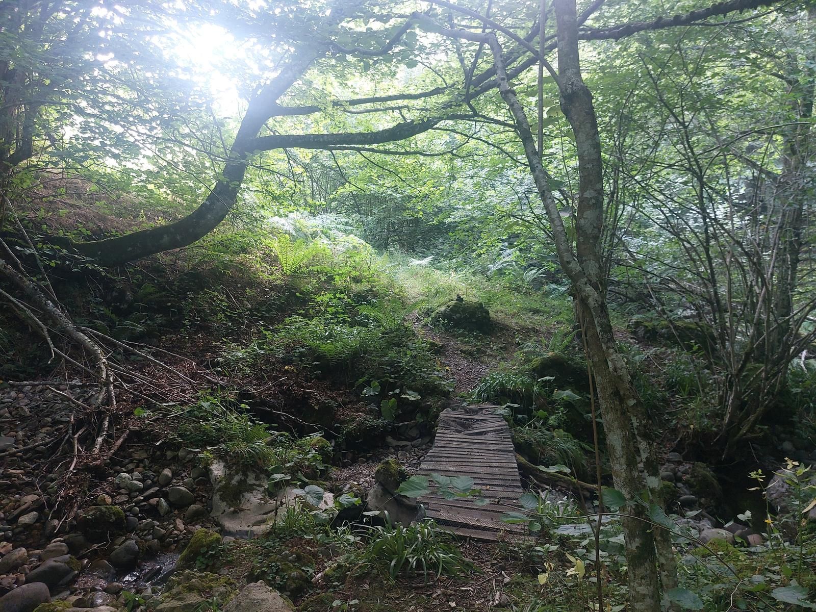 Imagen secundaria 1 - A la ermita de Trobaniello: una ruta por hayedos hasta un lugar de leyenda