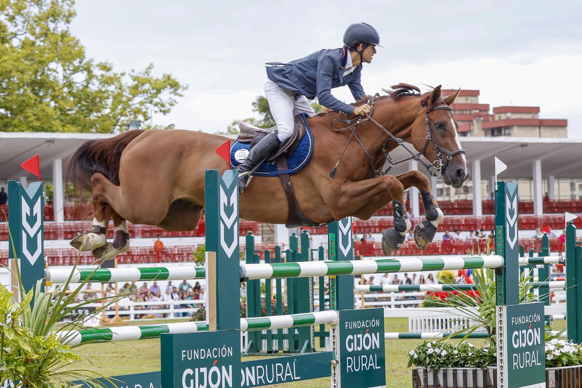 El Hípico de Gijón, lleno este sábado