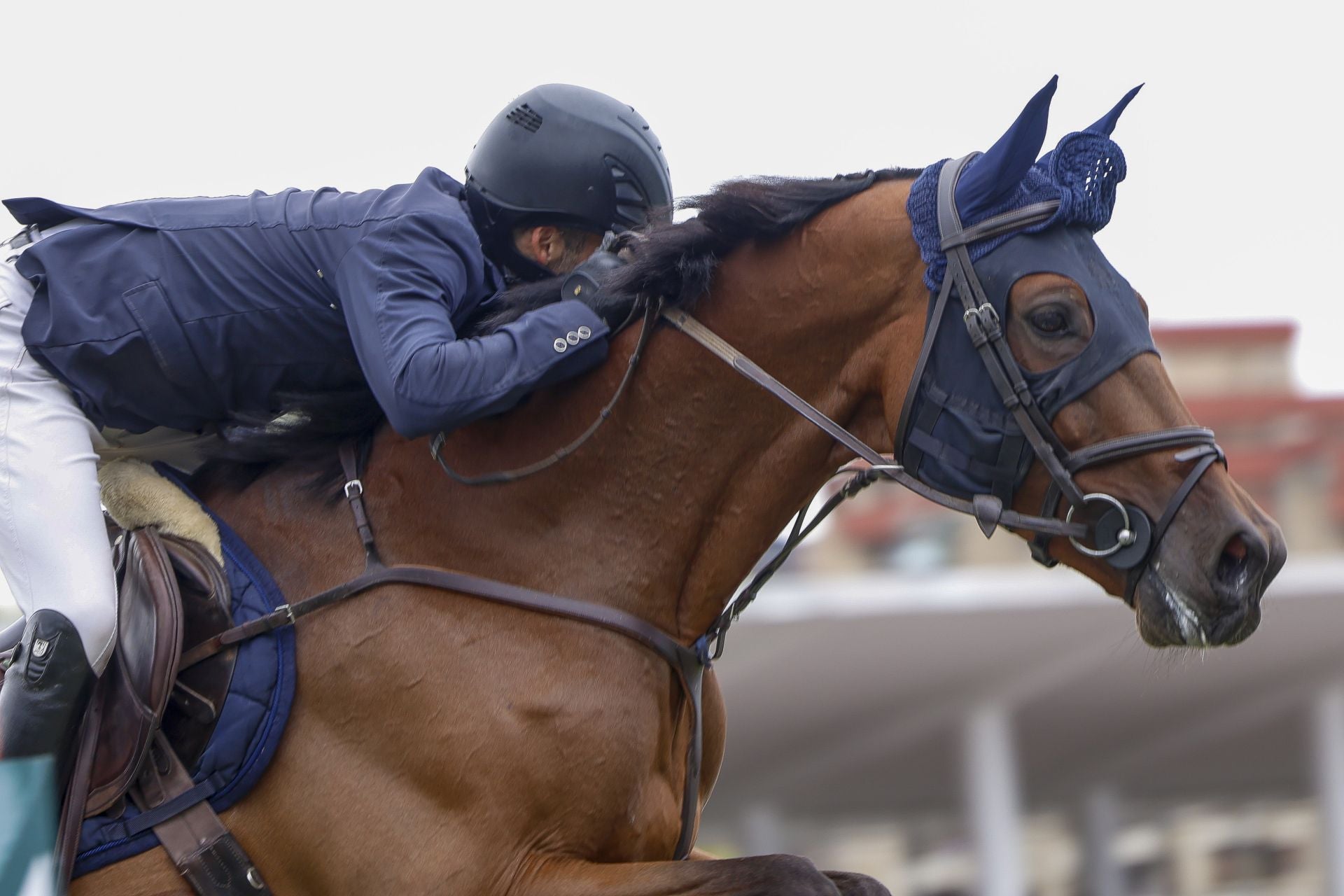 El Hípico de Gijón, lleno este sábado