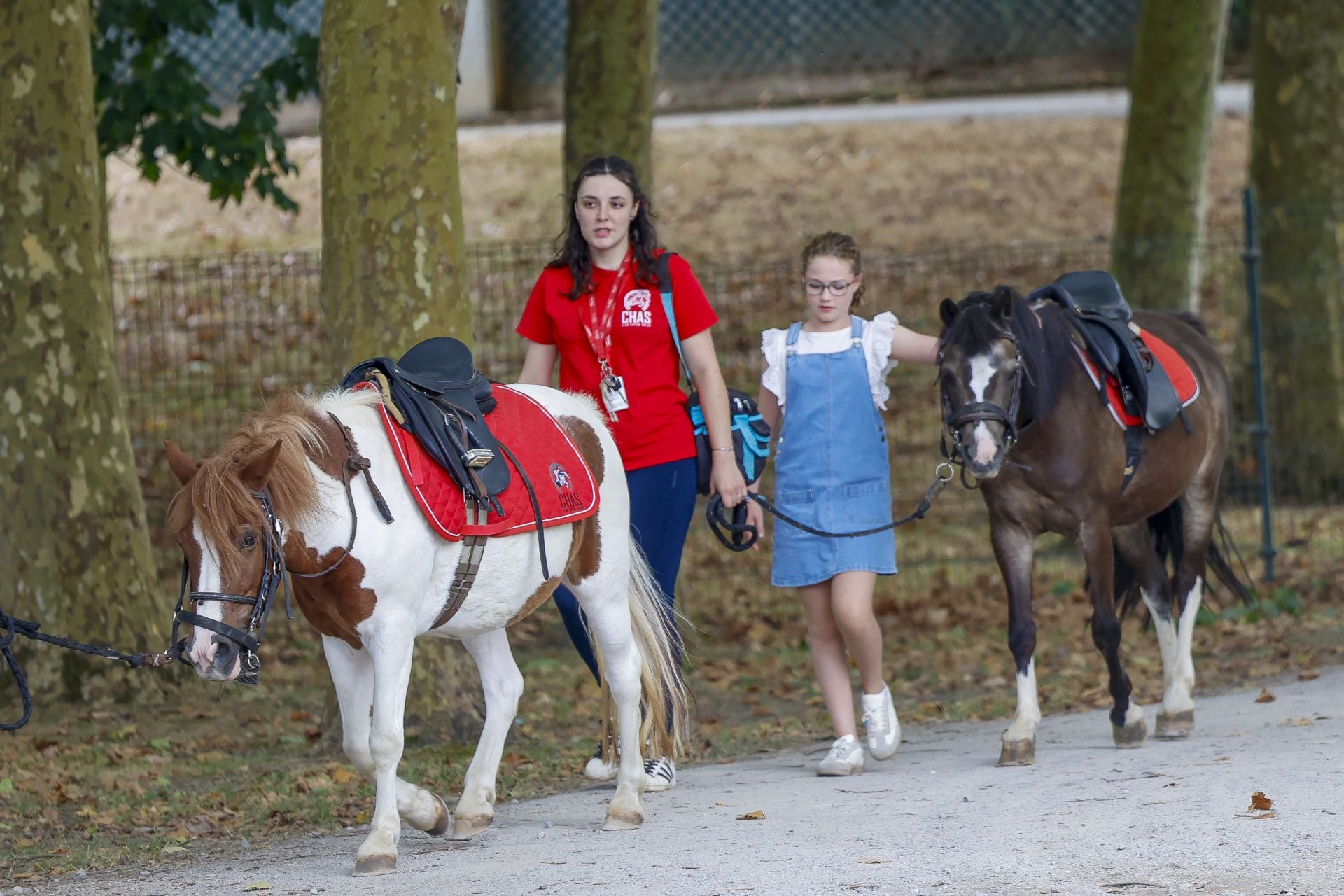 El Hípico de Gijón, lleno este sábado