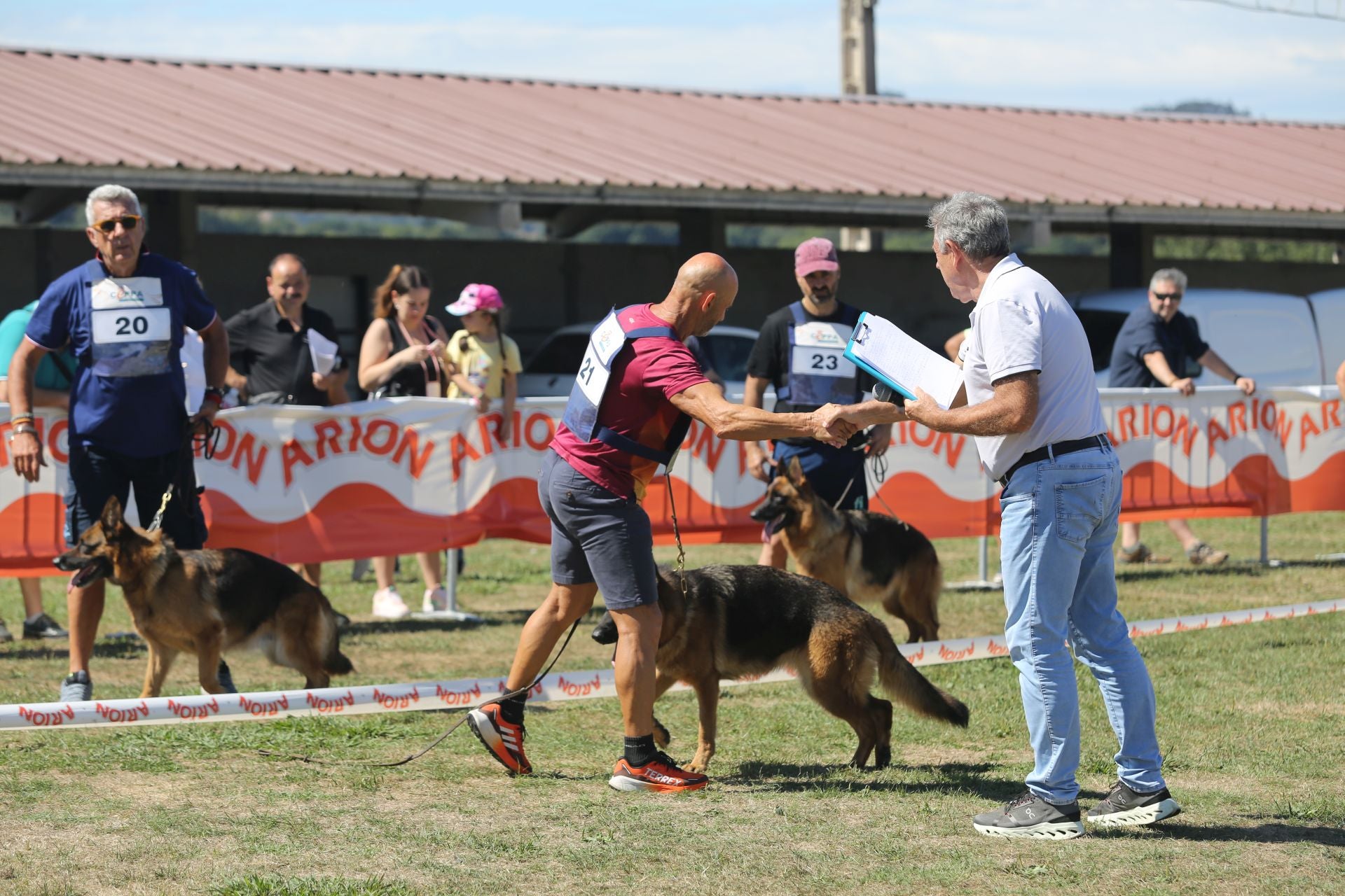 Los perros pastor alemán brillan en Llanera