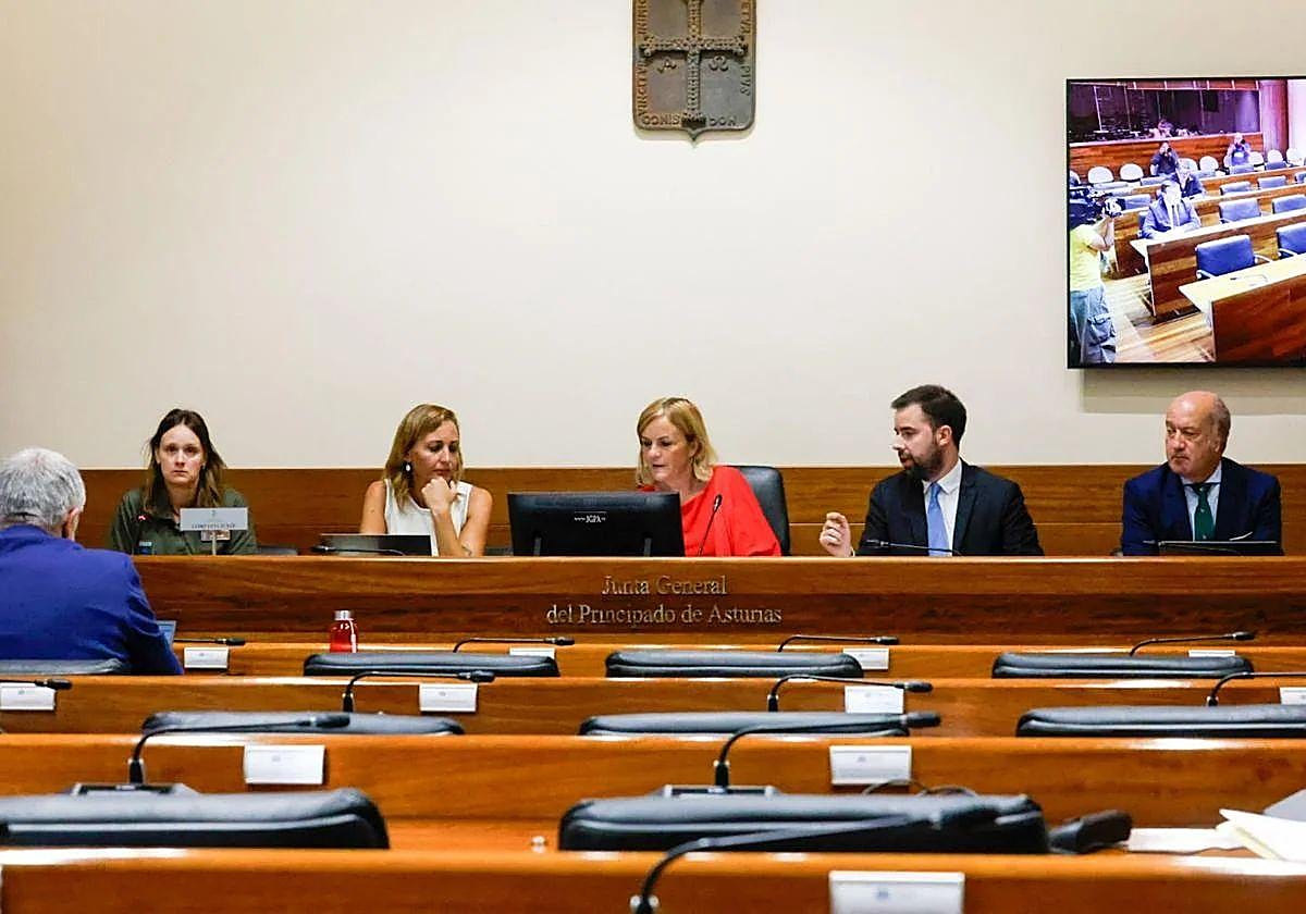 El curso parlamentario arranca en Asturias con las comparecencias de la comisión del accidente en la mina de Cerredo