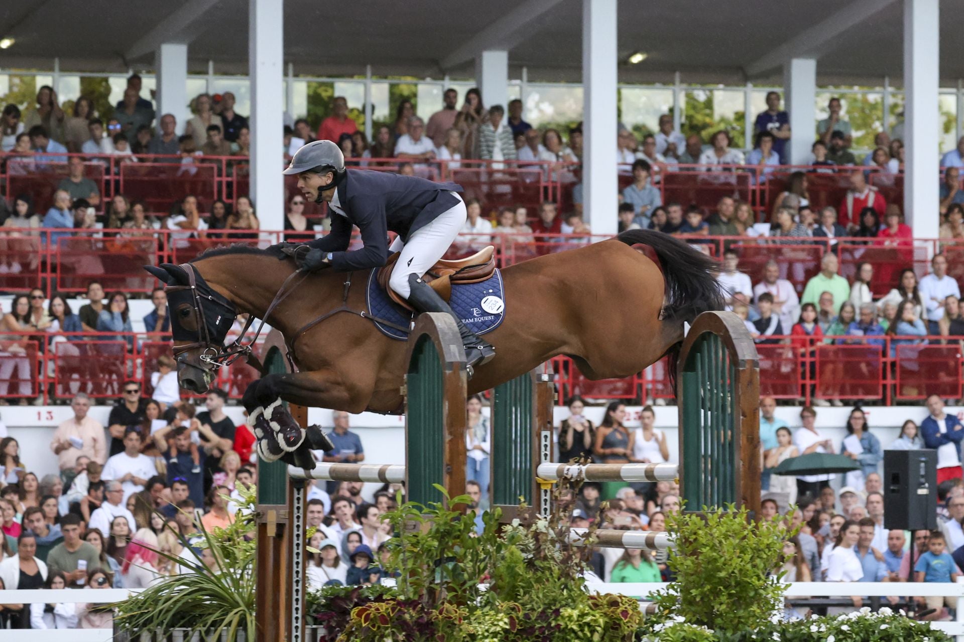 Llenazo en el hípico este domingo
