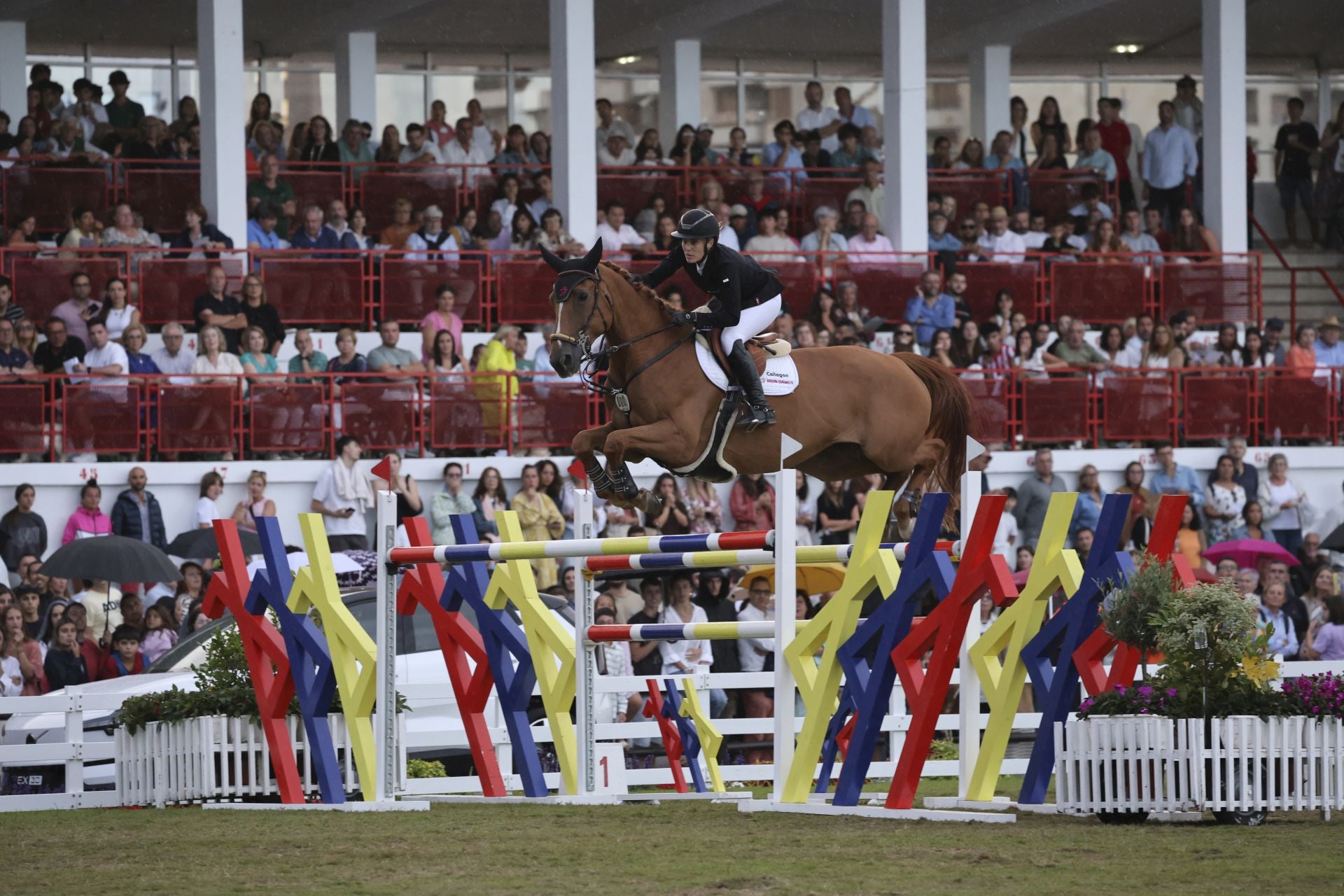 Llenazo en el hípico este domingo