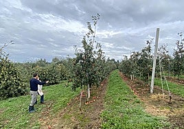 La Asturias rural, ante el reto de la futura PAC
