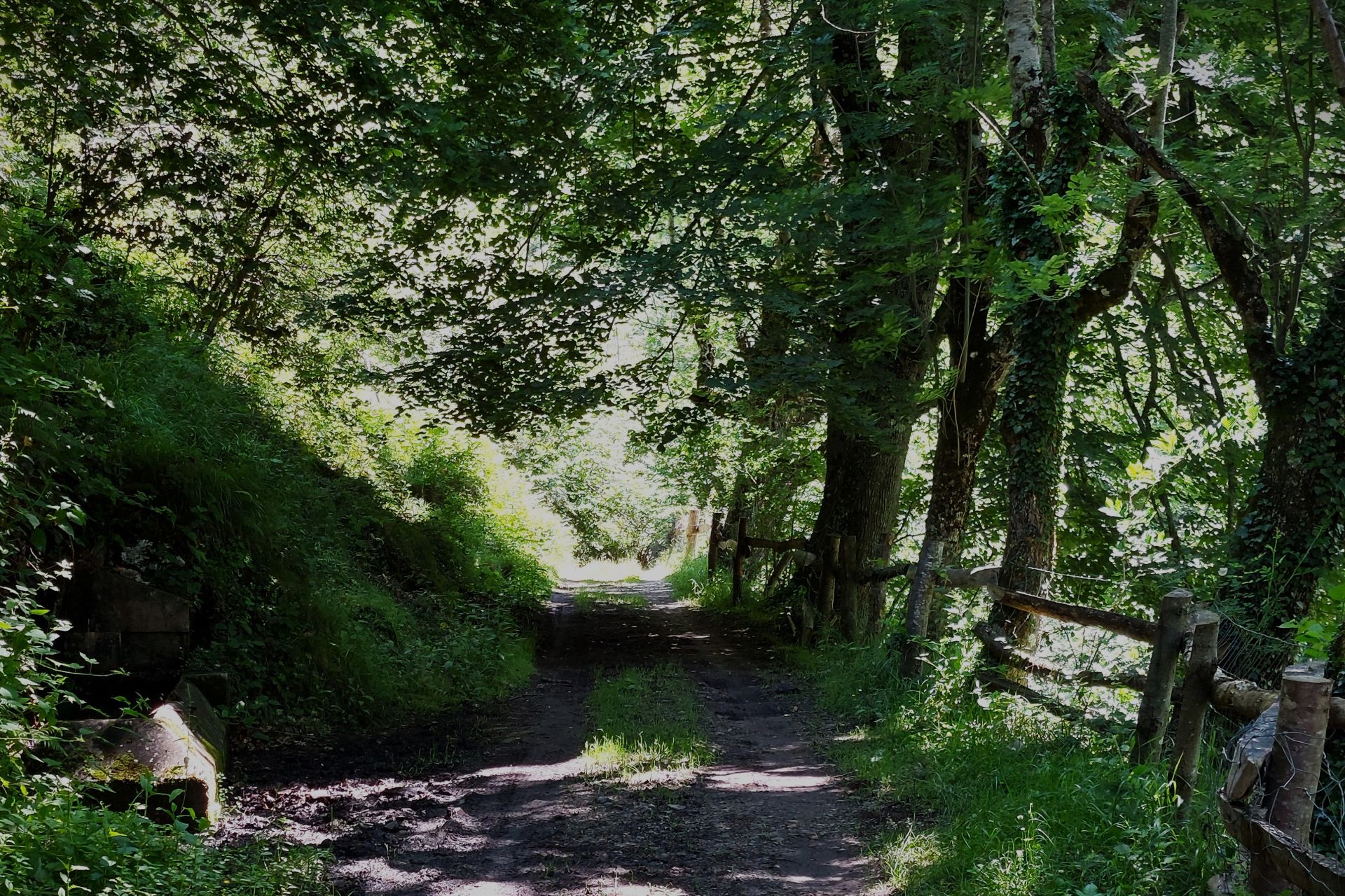 Imagen secundaria 1 - Majada de Vega Baxu/ camino hacia la majada/ cartel indicador