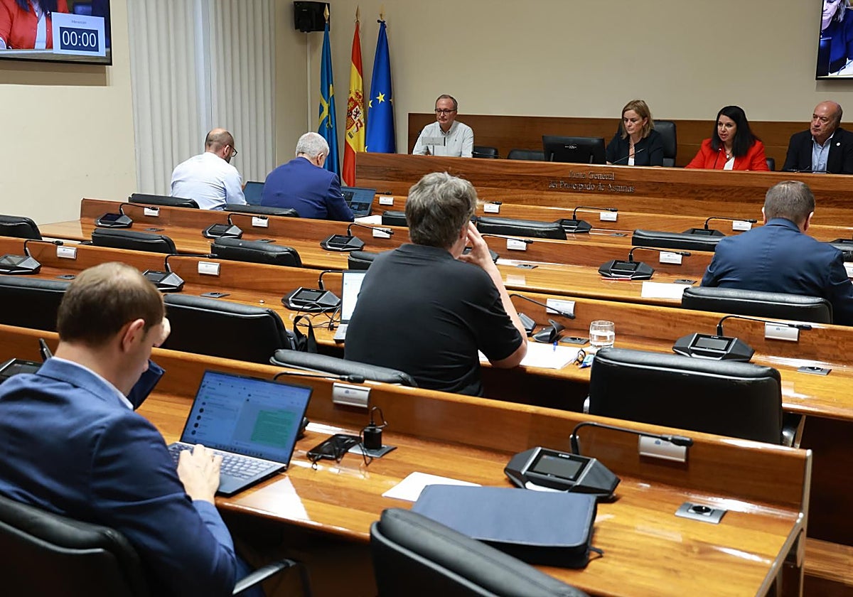 Momento de la comparecencia del ingeniero Alejandro Álvarez ante la comisión que investiga el accidente en la mina de Cerredo.