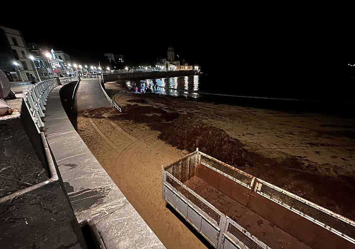 Imagen principal - La excavadora carga anoche ocle acumulado junto a la escalera 2 de San Lorenzo en una recogida organizada por un recolector de Luanco. Debajo, estado en que estaba el arenal por la mañana.