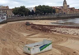 Trabajadores de Emulsa volvieron ayer por la mañana recoger ocle en el arenal de San Lorenzo.