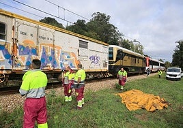 Personal de Renfe ante el tren descarrilado al arrollar a una vaca (tapada con una manta).
