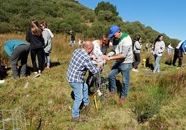 Plantaciones en Pajares en ediciones anteriores