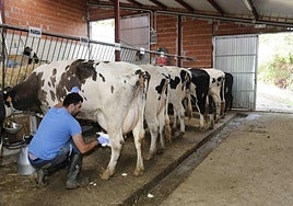 Diez millones en ayudas para fomentar la incorporación al campo en Asturias