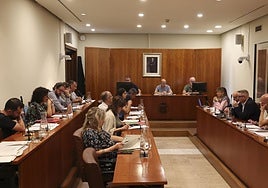 Agustín Medina presidió el pleno ante la ausencia de Mariví Monteserín