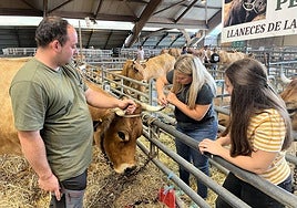 Una familia cuida una vaca para participar en el certamen ganadero de Agrosiero.