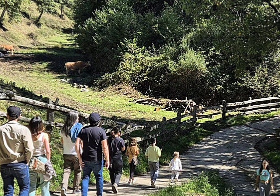 Una de las actividades en el Parque Natural de Redes durante la celebración del Argayu Fest, el año pasado.