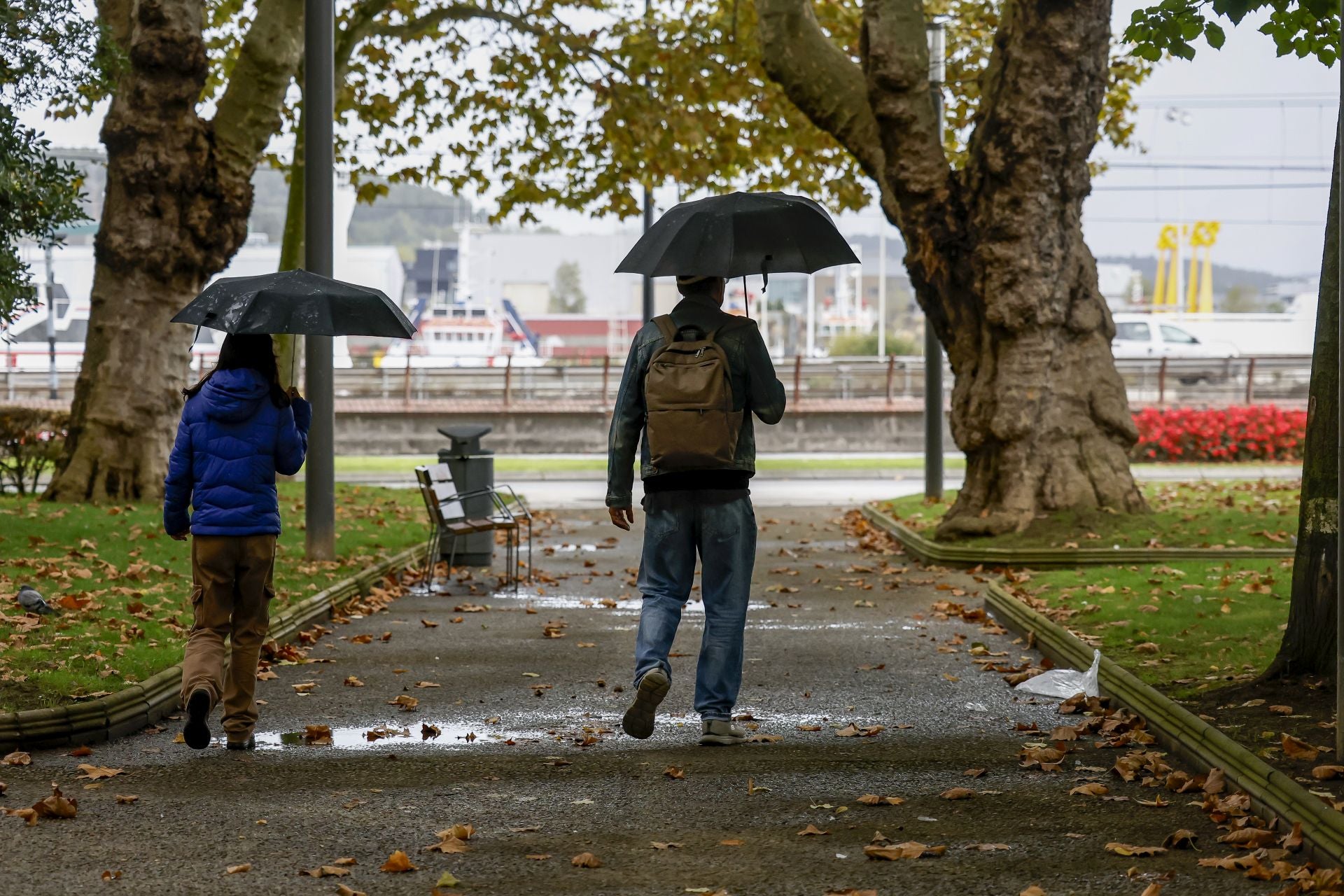 Lluvia, frío y viento: las imágenes de cómo Asturias da la bienvenida al otoño