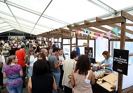 La feria de artesanía celebrada en la edición de Fetumi 2024, en el pozo Sotón de El Entrego