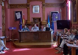 Los ediles socialistas de Villaviciosa mostrando su apoyo al pueblo Palestino