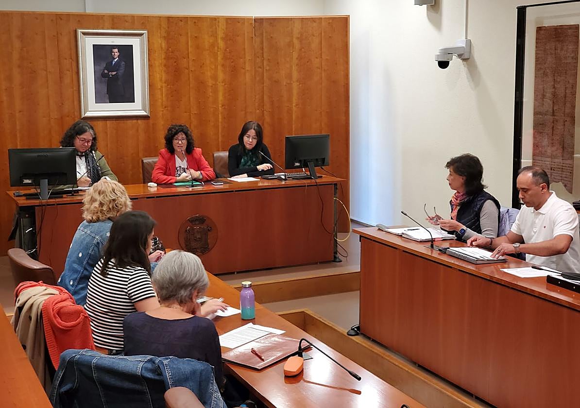 La concejala Lucía Fernández Ron presidió la reunión.