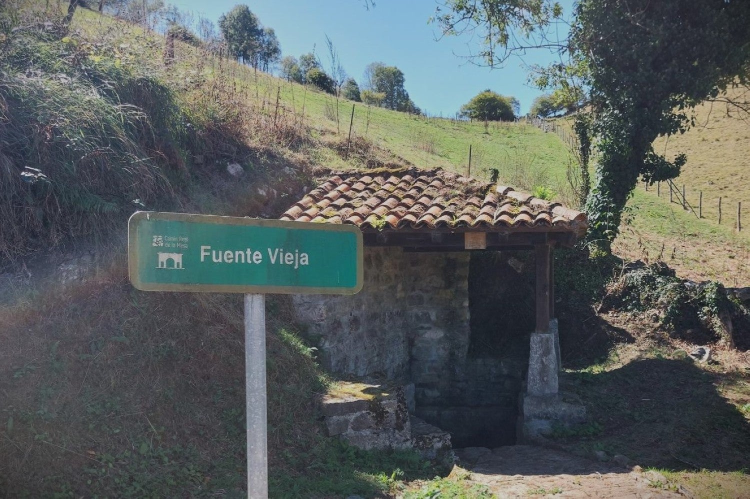 Imagen secundaria 1 - Una de las mejores cosas deesta ruta es que avanza por senderos bien marcados y que la ascensión a las cumbres se hace por pradería, sin complicaciones ni pasos técnicos. 