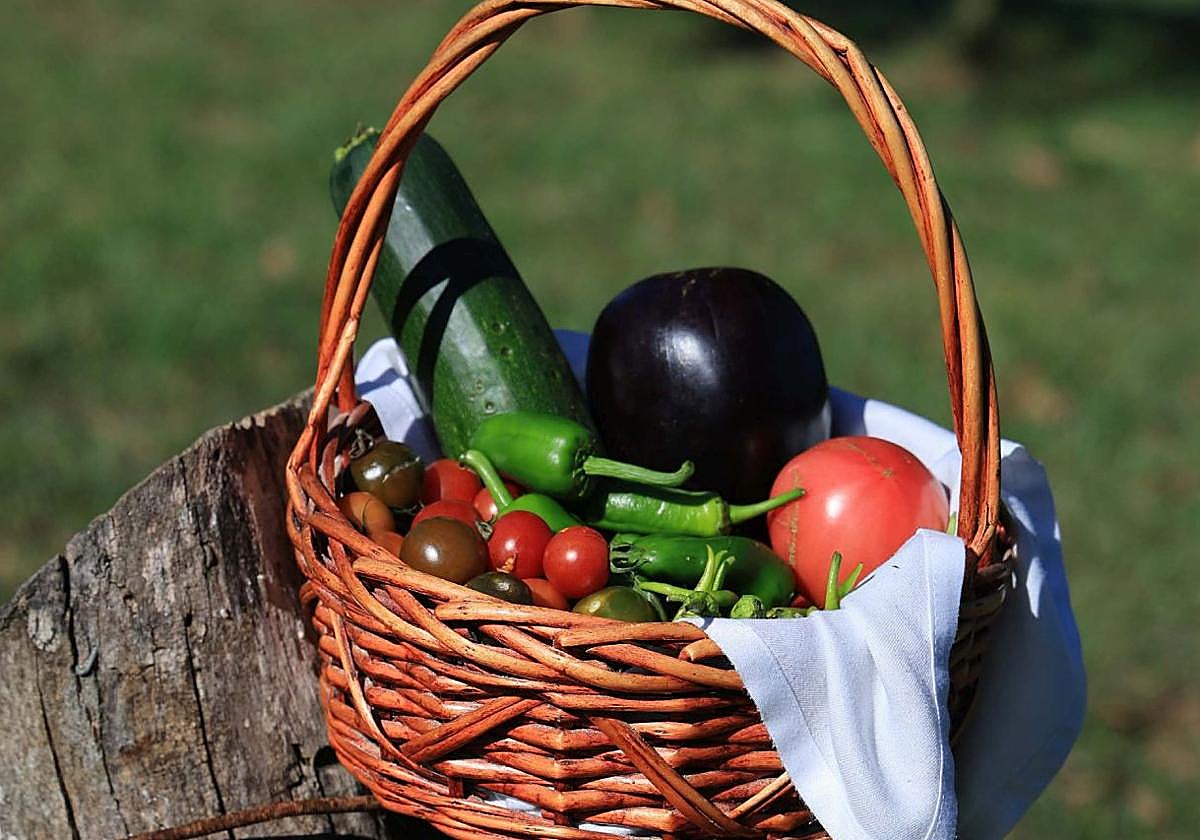 Verduras de otoño a la mesa: las recetas de la semana