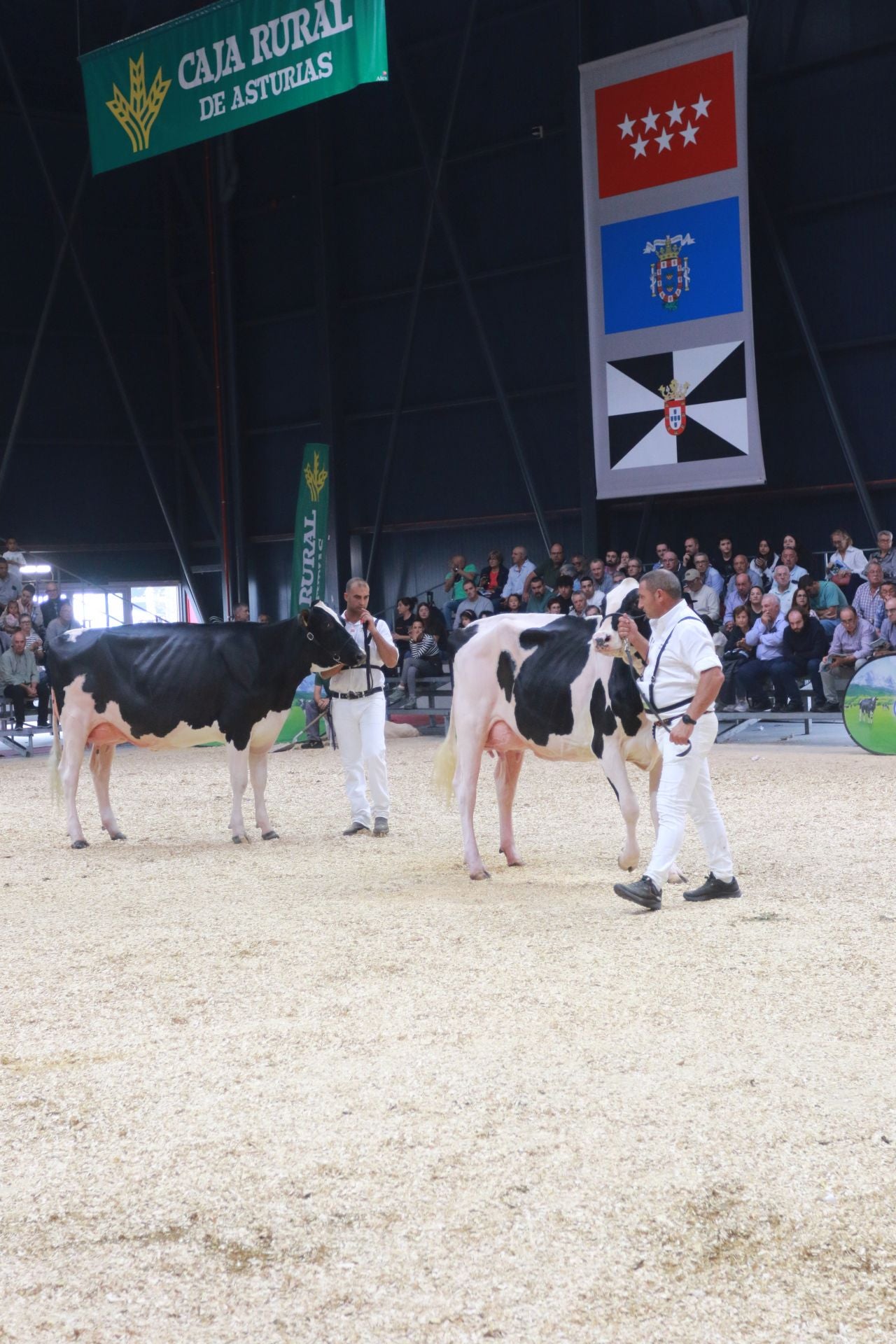 Agropec, desde dentro: así es la feria del sector agrícola, pesquero, ganadero y forestal