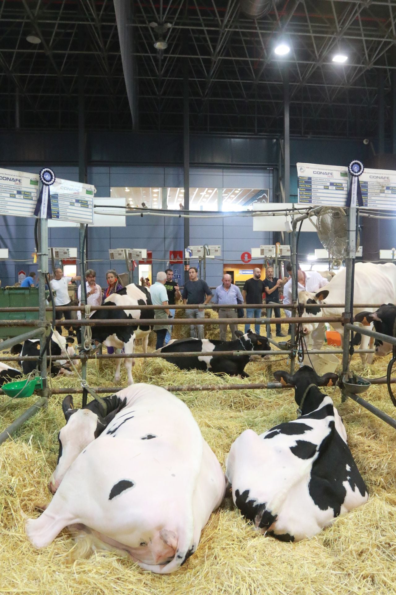 Agropec, desde dentro: así es la feria del sector agrícola, pesquero, ganadero y forestal