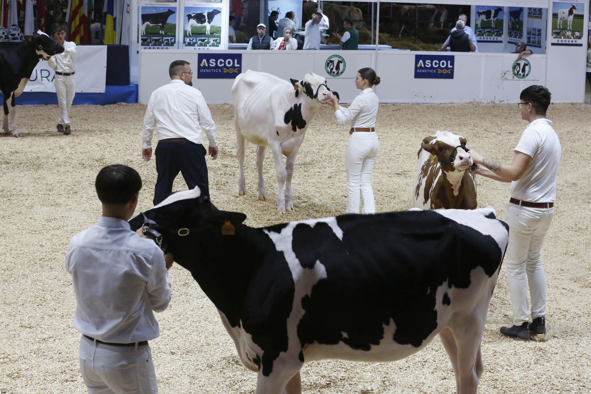 Agropec se despide por todo lo alto