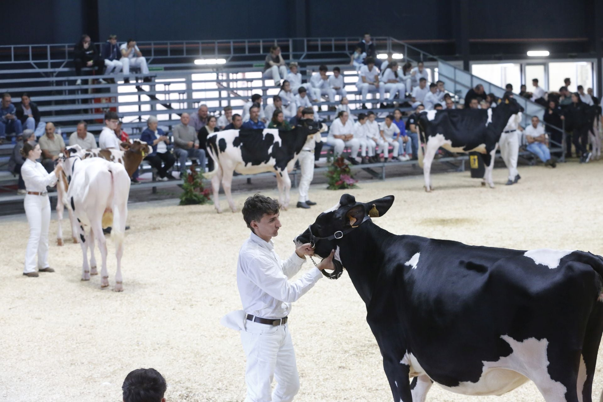 Agropec se despide por todo lo alto