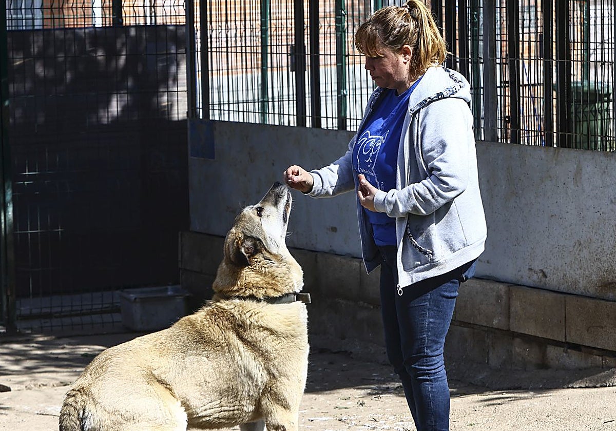 Una trabajadora y un perro en el albergue municipal.