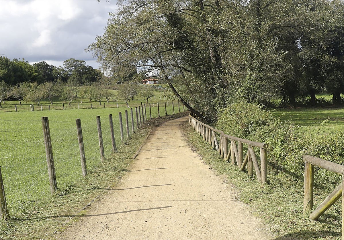 Un tramo de la senda fluvial del Piles que se prolonga desde Viesques hasta La Camocha.