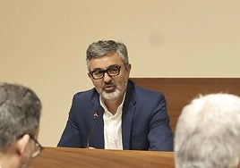 El consejero de Movilidad de Asturias, Alejandro Calvo, en la Junta General.