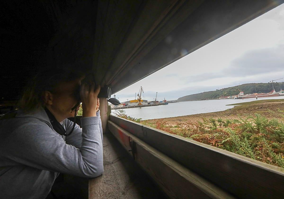 Observación de aves en la charca de Zeluán.