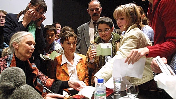 Nueve lecciones de vida de Jane Goodall