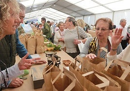 La avellana y Santa teresa toman Infiesto