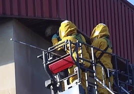 Los bomberos de Gijón retiran un nido de vespa velutina de una cornisa