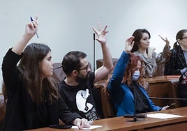 La concejala de Hacienda de Avilés, Raquel Ruiz (PSOE), en una votación junto al portavoz de Podemos, David García.