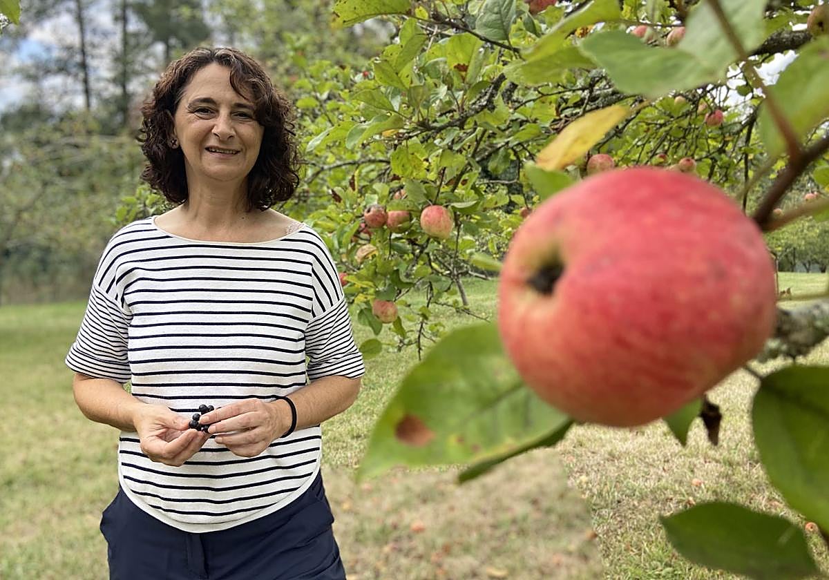 Noemí Pinilla, en su casa de Siero, donde tiene unos 80 árboles frutales. Sobre todo, manzanos. En las manos, unas uvas de una vid traída de Cangas del Narcea, que hoy crece junto a la gran higuera que acompaña a su casa y su hórreo.