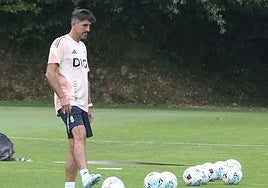 Los tigres de Veljko