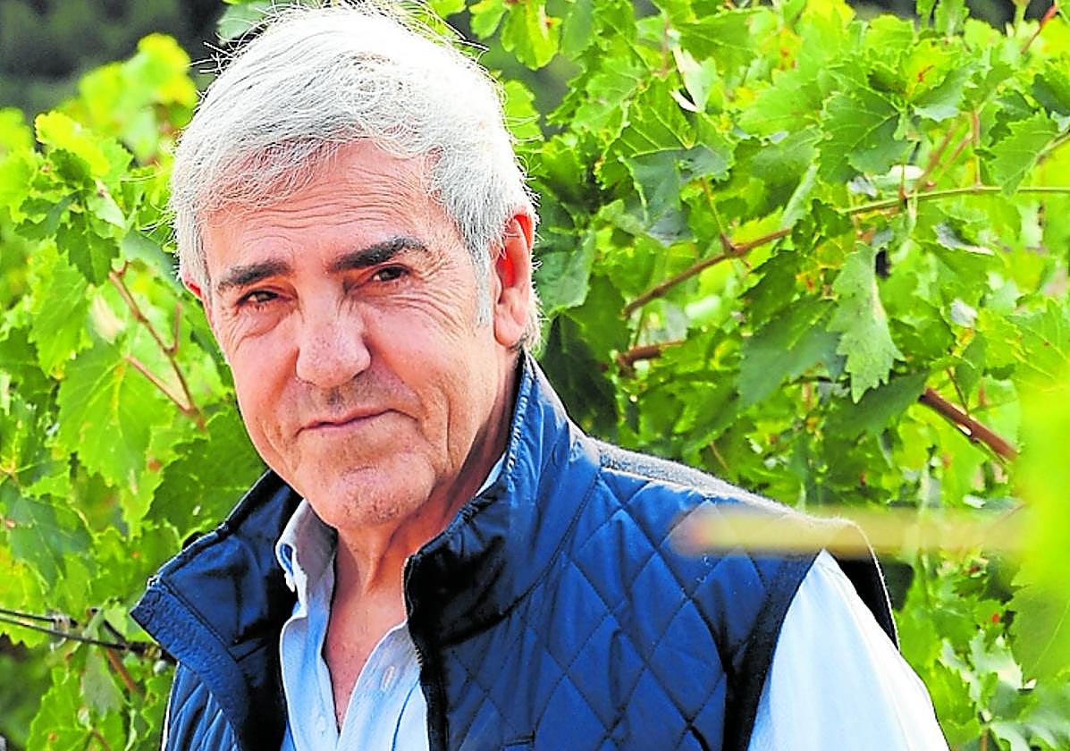 El bodeguero José Moro, entre viña.